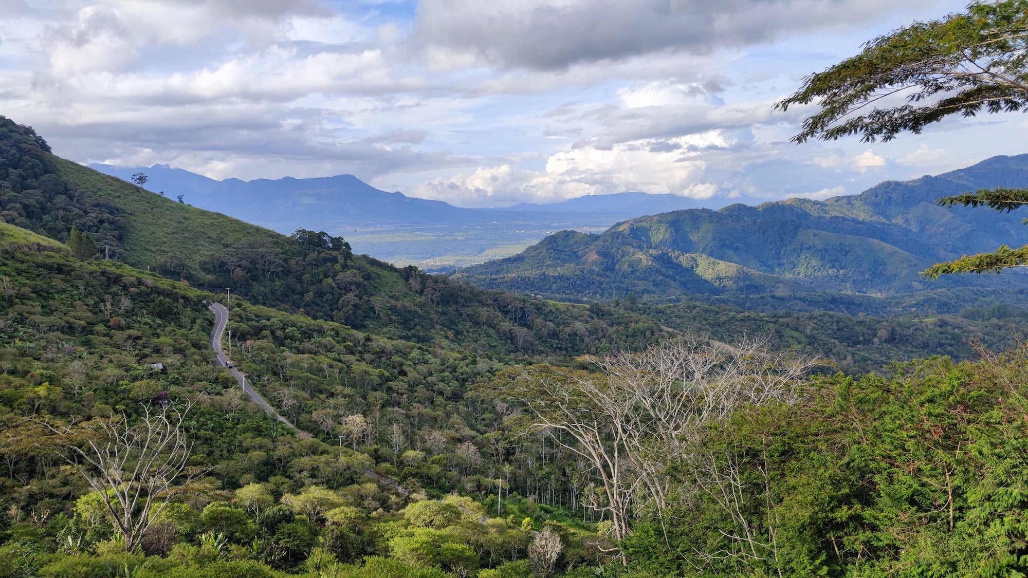 GAYO HIGHLAND – LE GAYO Coffee Japan